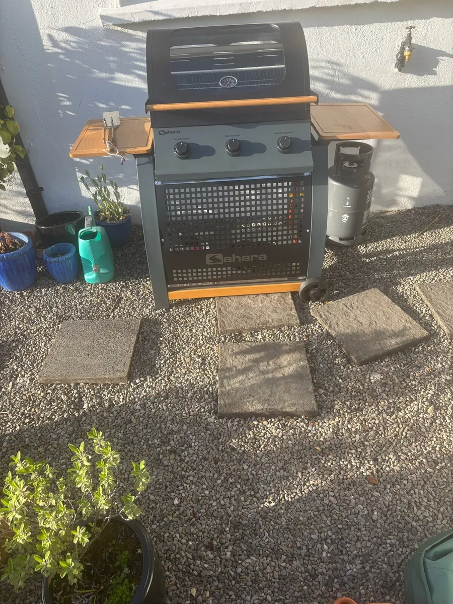 Sarah’s S350 Barbecue - Image 4