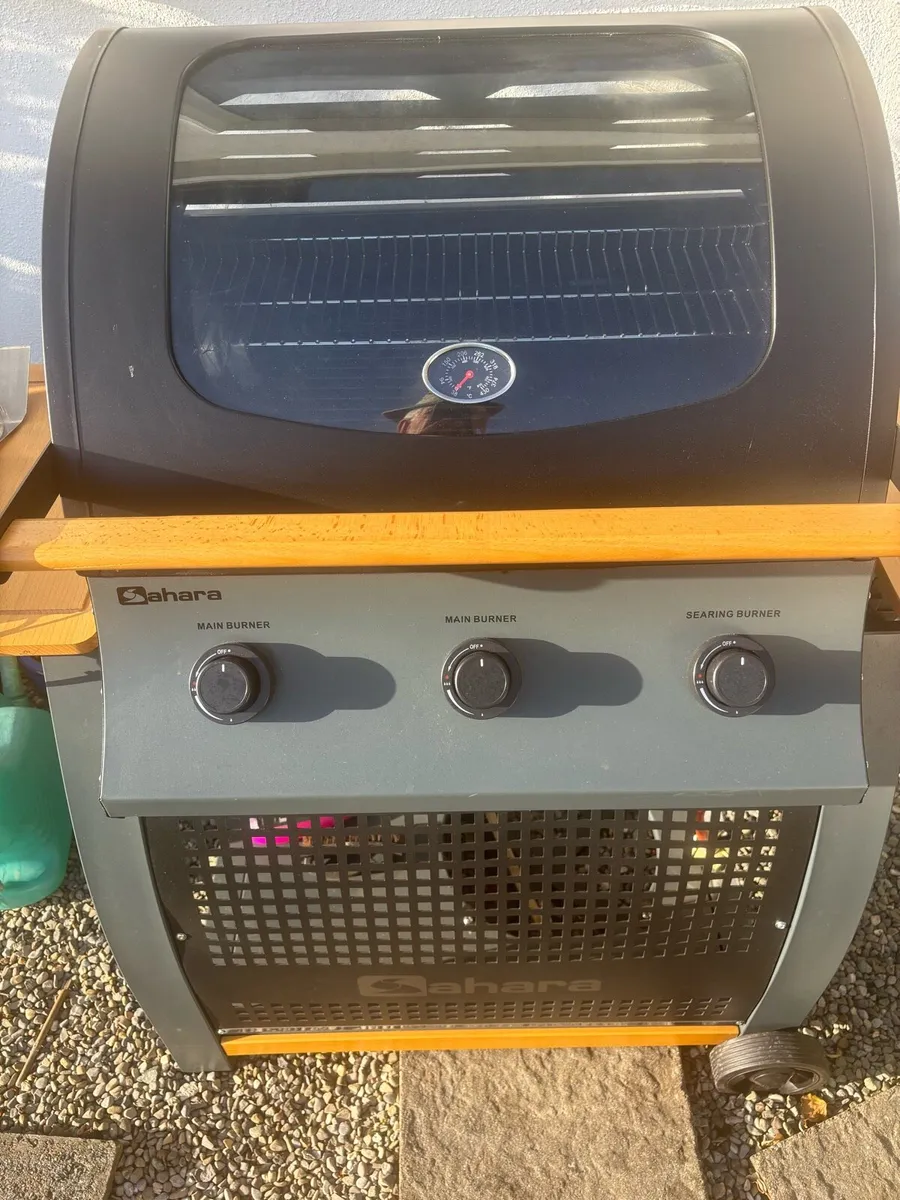 Sarah’s S350 Barbecue - Image 3