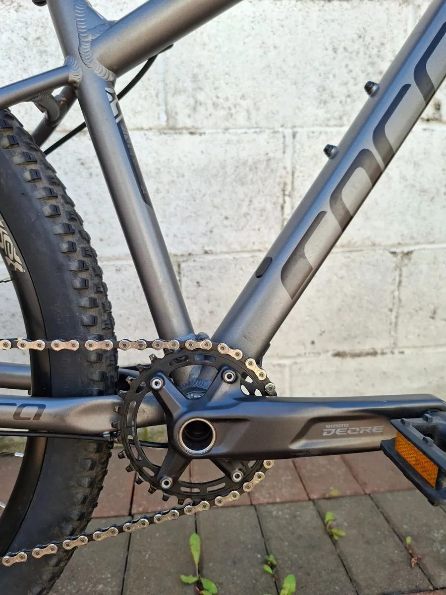 Carrera Sulcata 3.1 - Image 3