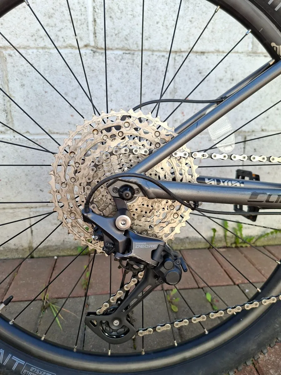 Carrera Sulcata 3.1 - Image 4