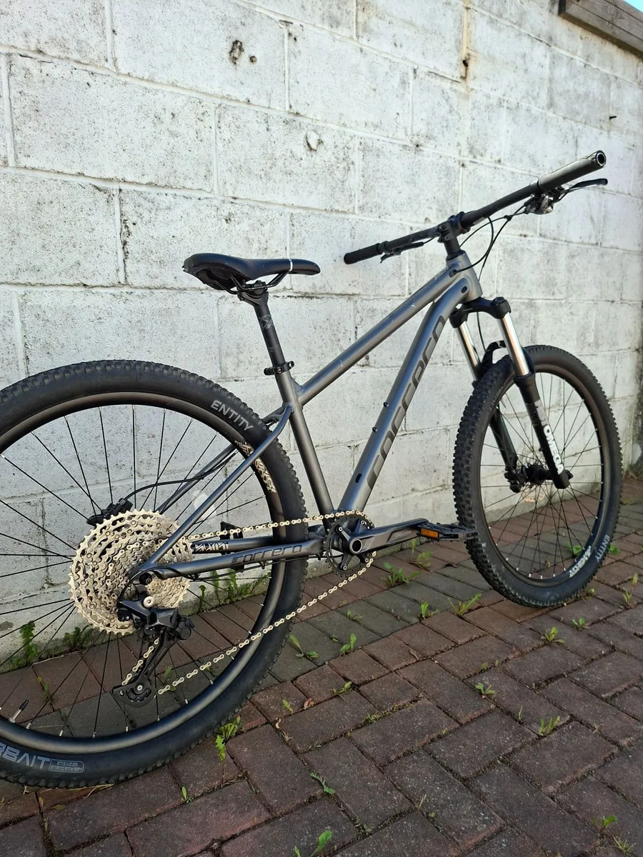 Carrera Sulcata 3.1 - Image 1