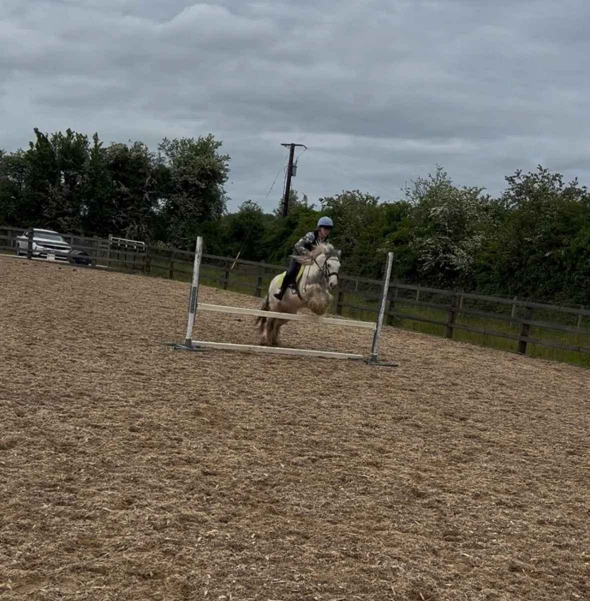 13.1h Allrounder - Image 4