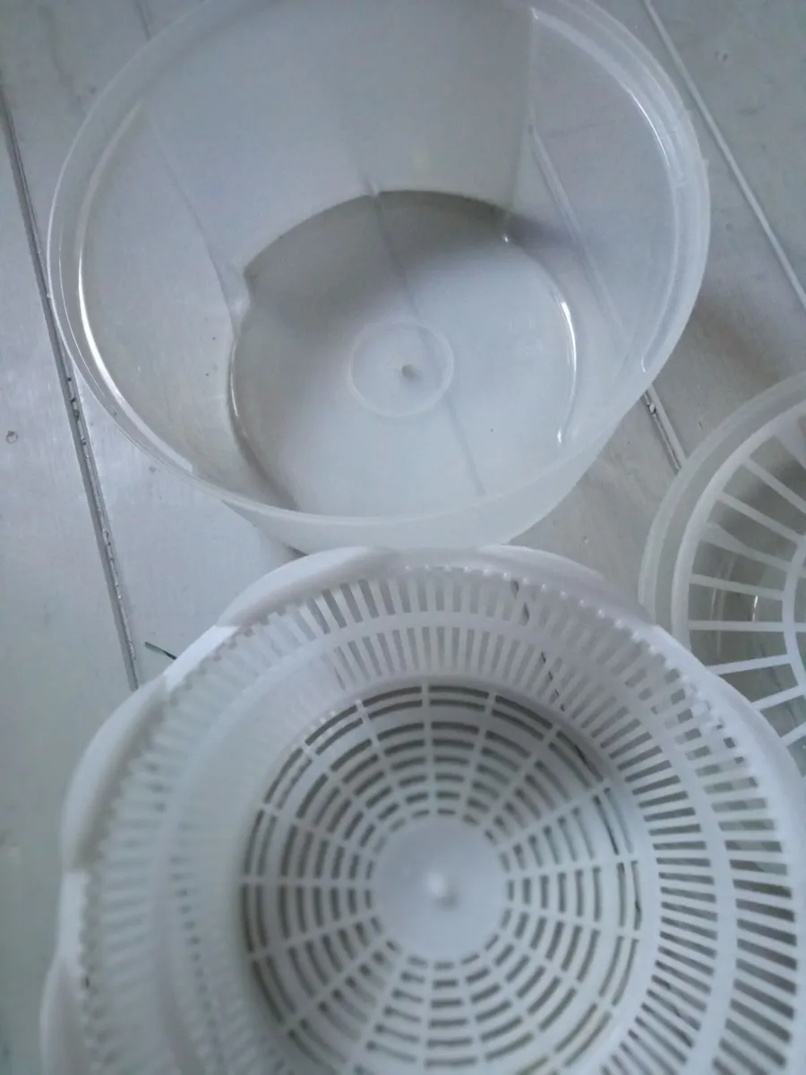 Salad Bowl Spinner - Image 3