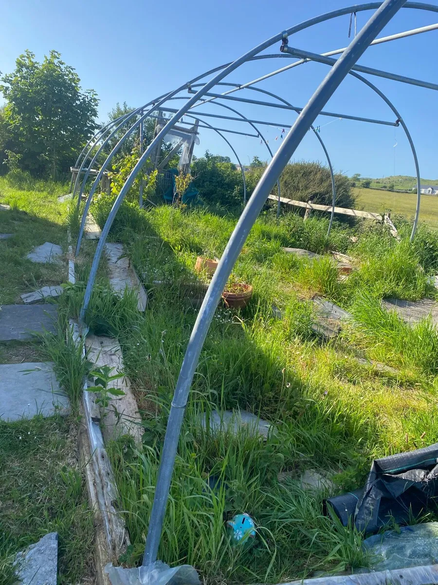 Poly tunnel frame - Image 1