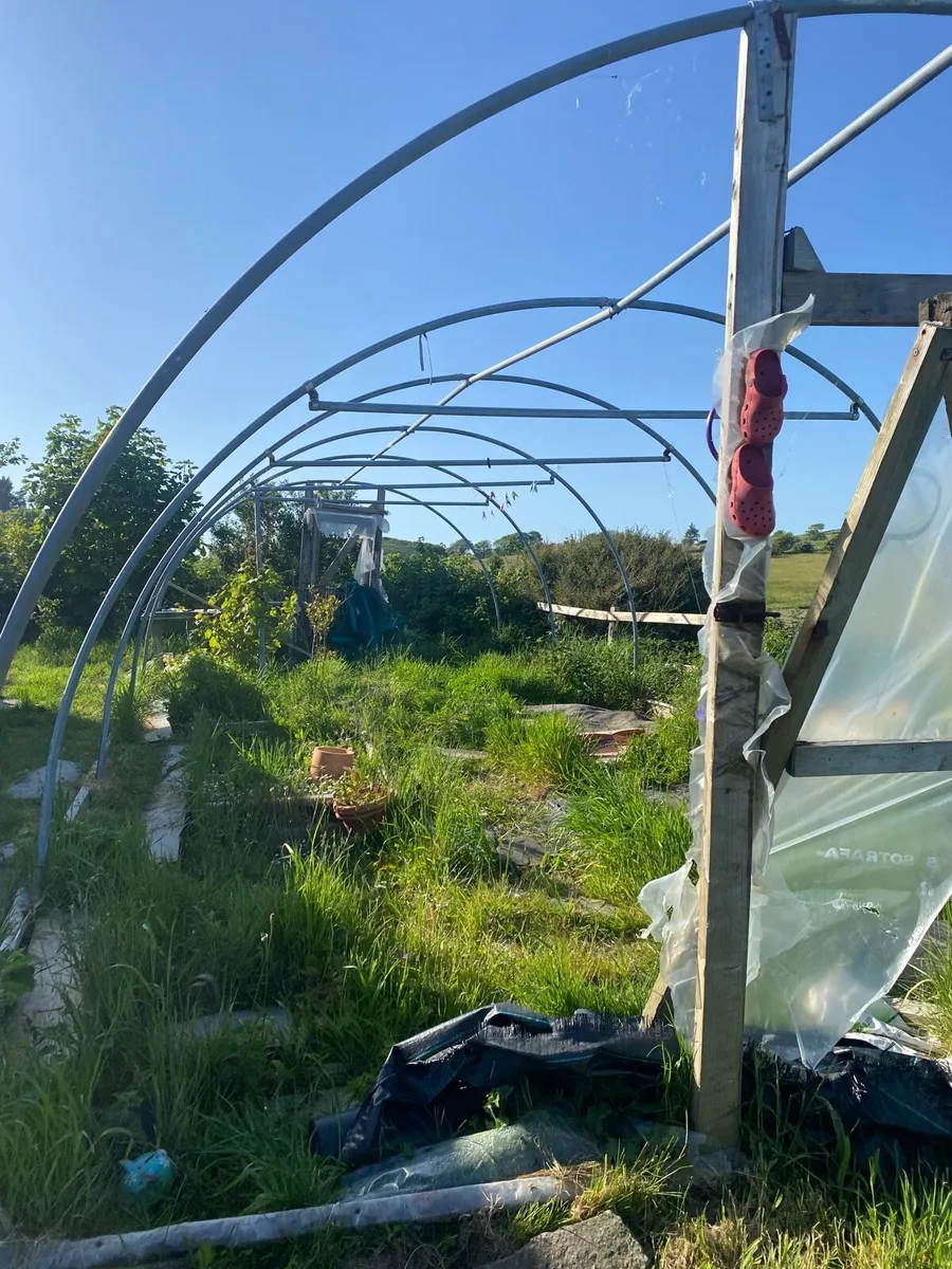 Poly tunnel frame - Image 2
