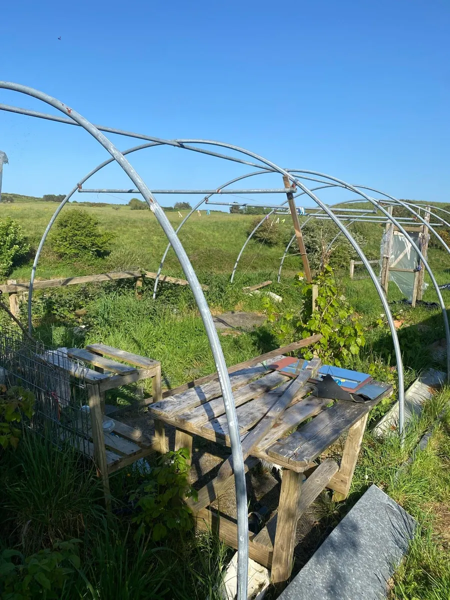 Poly tunnel frame - Image 3