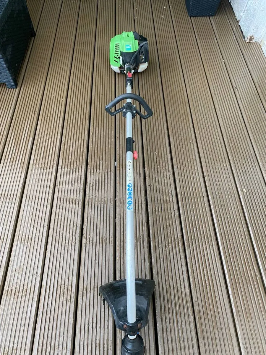 Strimmer - Image 1