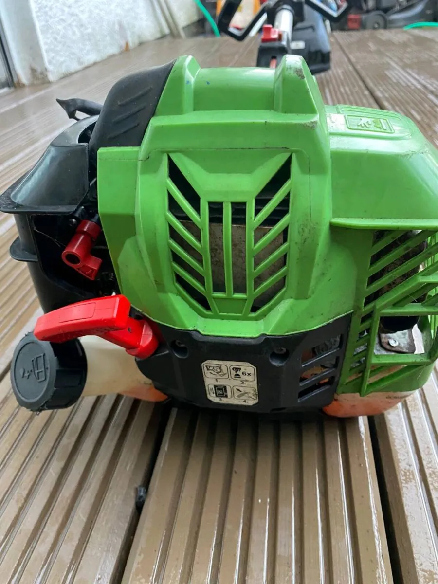 Strimmer - Image 4