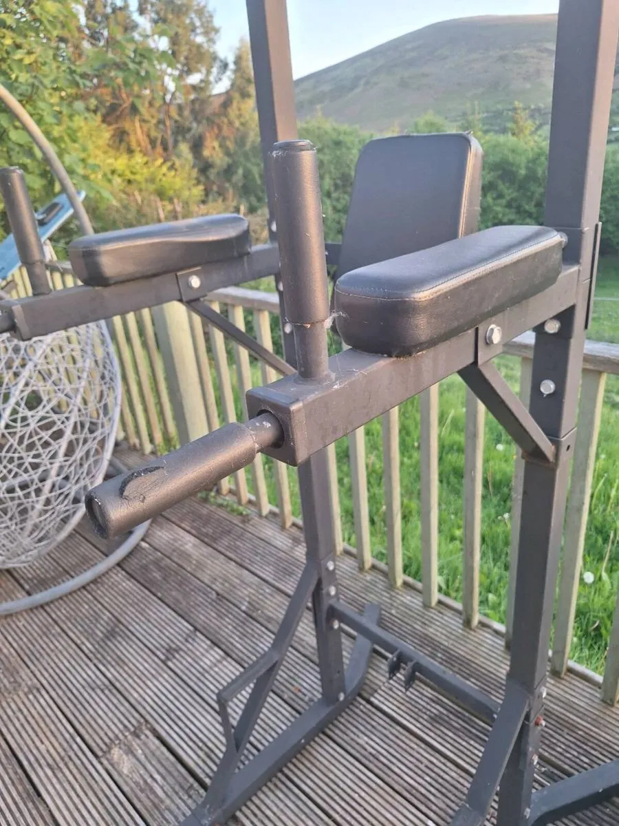 Pull Up / Dip / Leg Raise Station (DELIVERY) - Image 3
