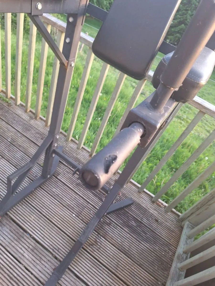 Pull Up / Dip / Leg Raise Station (DELIVERY) - Image 4