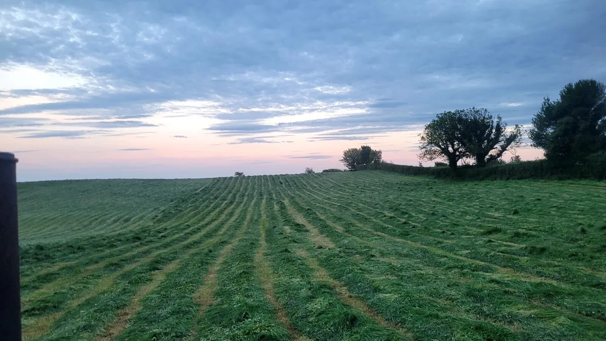 Small square hay bales
