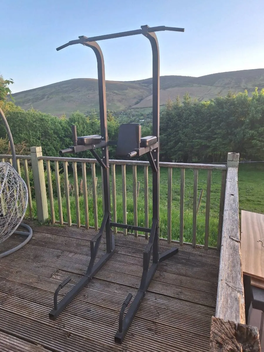 Pull Up / Dip / Leg Raise Station (DELIVERY) - Image 1