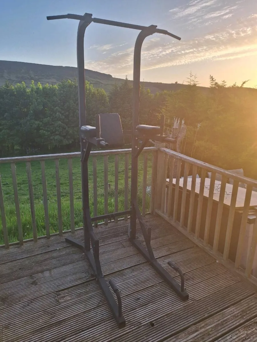 Pull Up / Dip / Leg Raise Station (DELIVERY) - Image 2