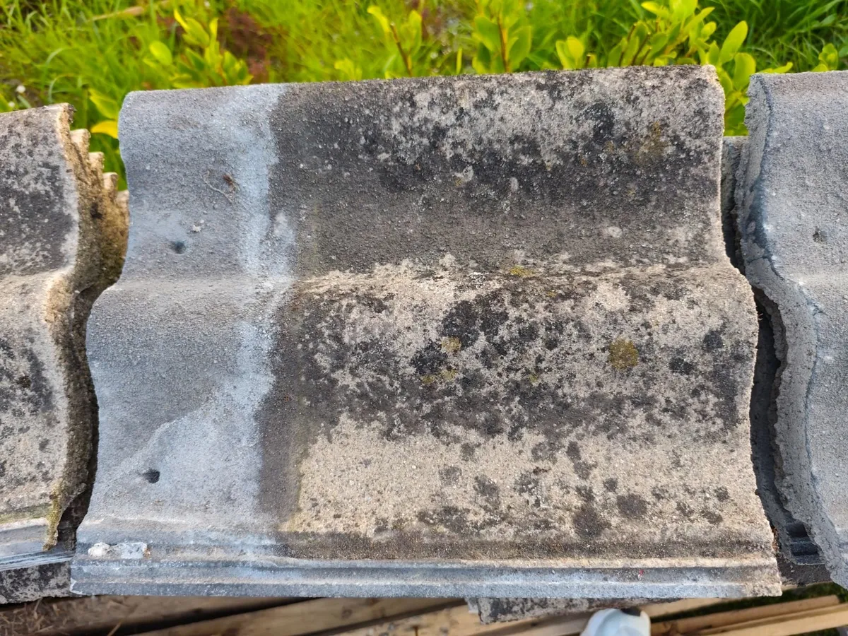 Salvage Roof Tiles - Image 1