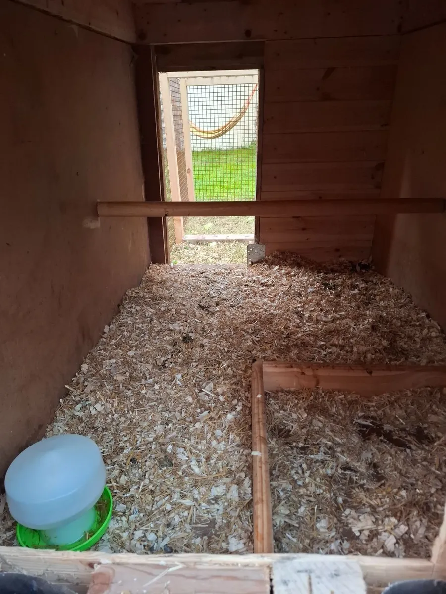 Chicken Coop - Image 1