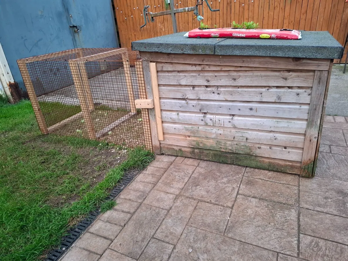 Chicken Coop - Image 2