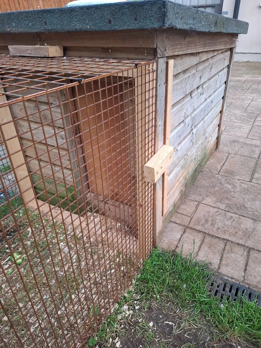 Chicken Coop - Image 4