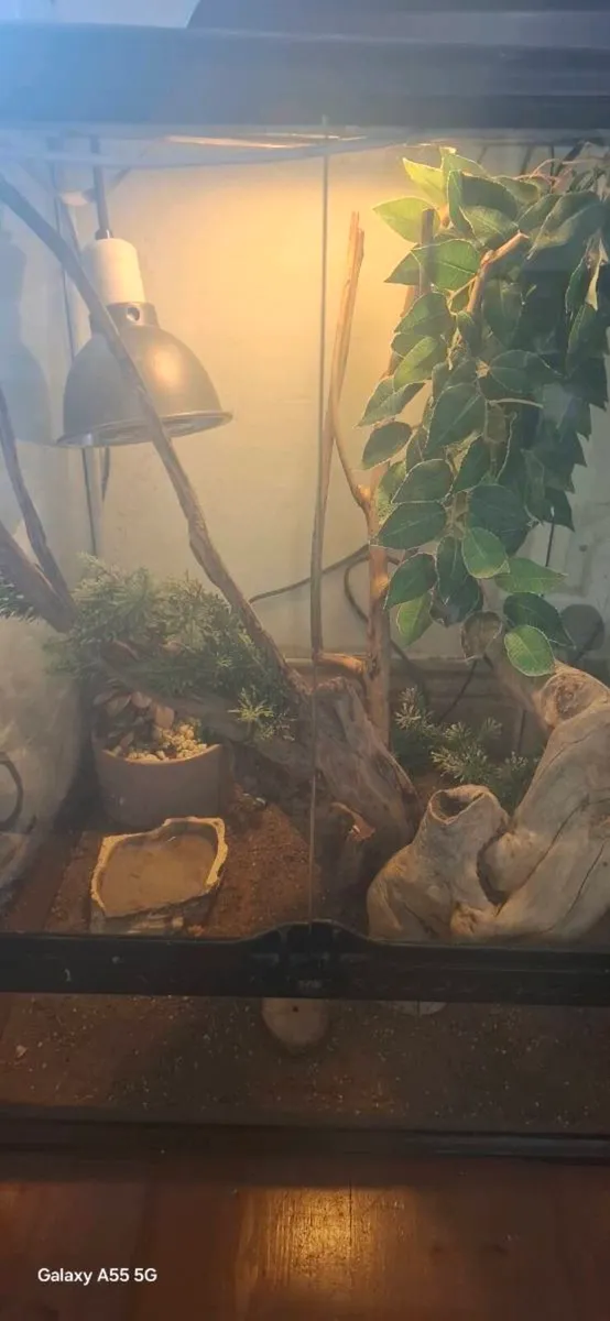 Vivarium - Image 2