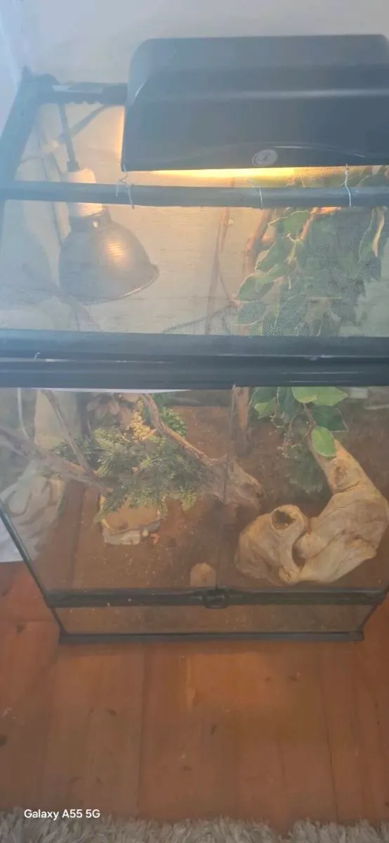 Vivarium - Image 3