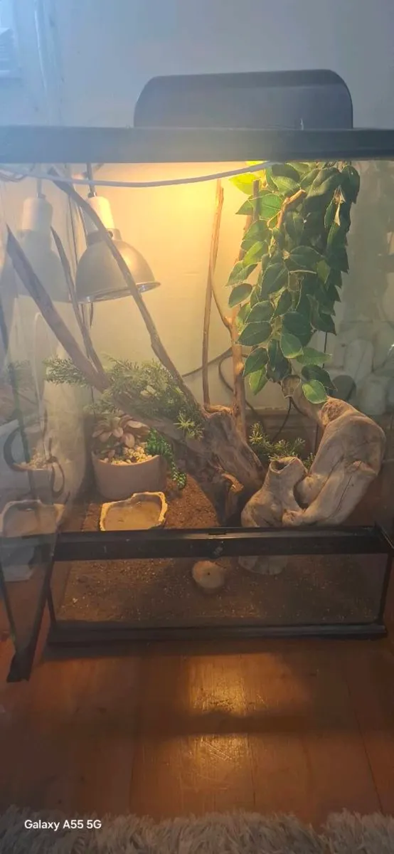 Vivarium - Image 1