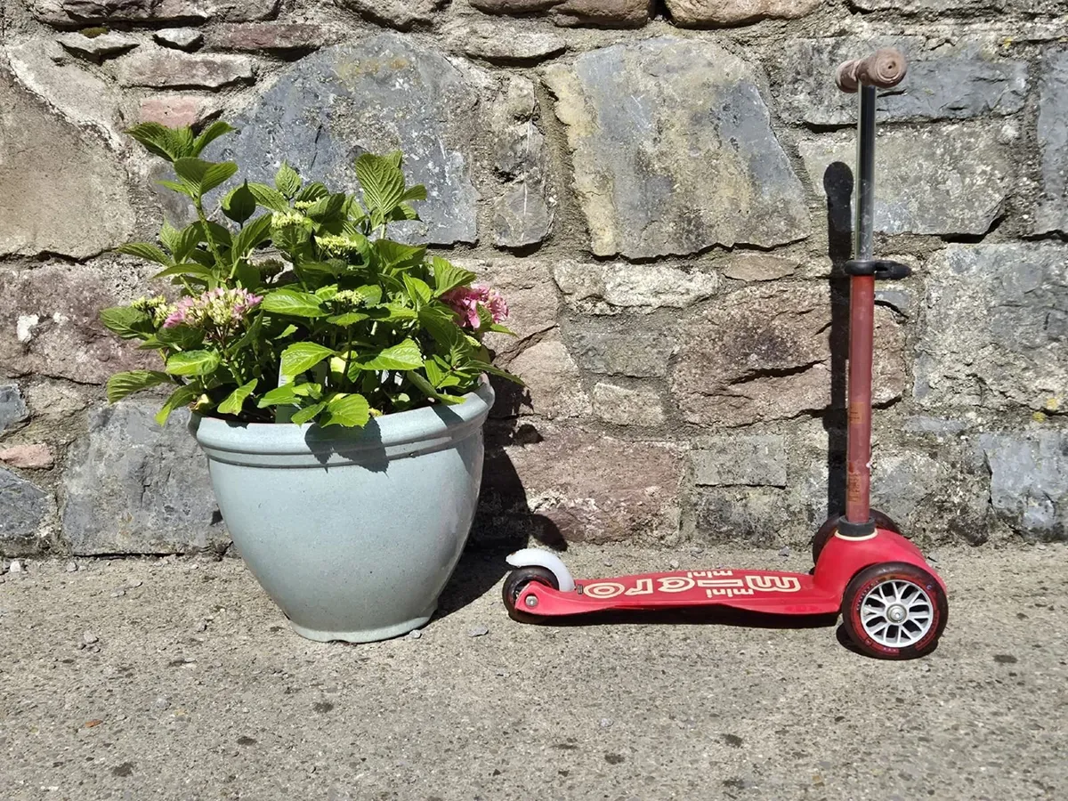 Red Micro Mini Scooter (2019) - Image 4