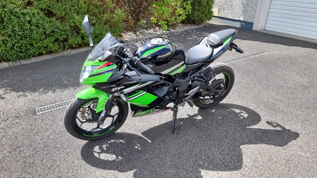 Kawasaki Ninja 250 SL - Image 1