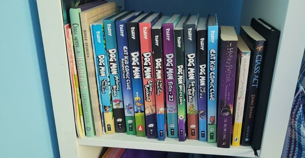 Book Collections: Dogman/ Diary of a Wimpy Kid/ David Walliams Books - Image 3