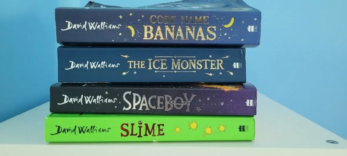 Book Collections: Dogman/ Diary of a Wimpy Kid/ David Walliams Books - Image 4