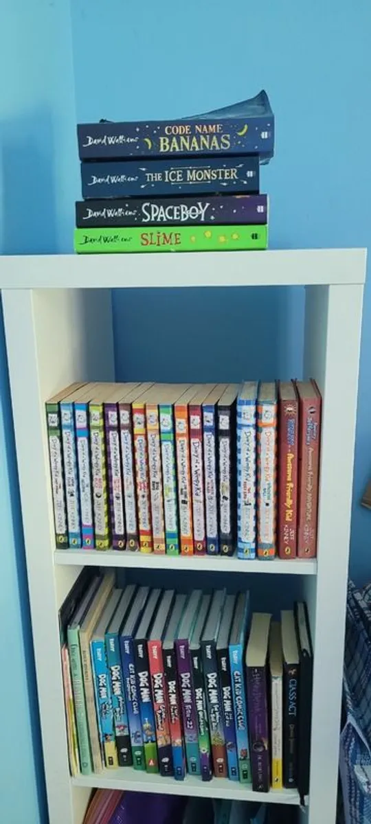 Book Collections: Dogman/ Diary of a Wimpy Kid/ David Walliams Books - Image 1
