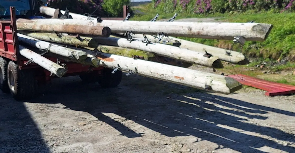 Telegraph Poles - Image 2