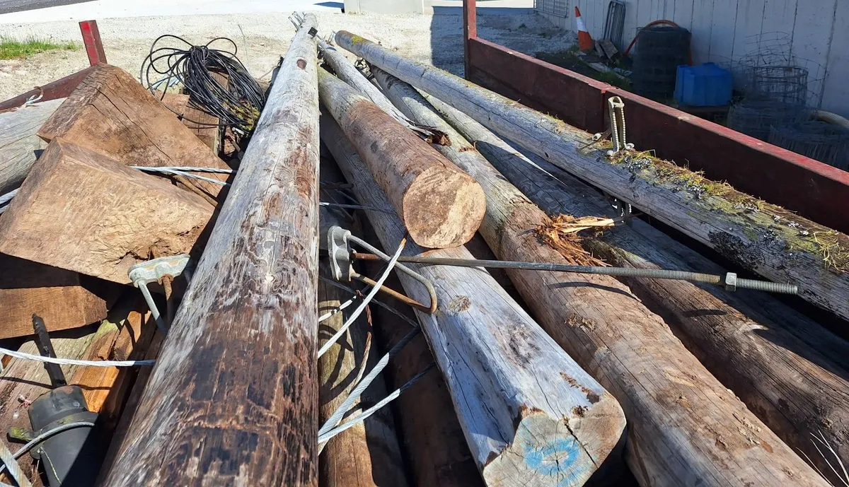 Telegraph Poles - Image 3