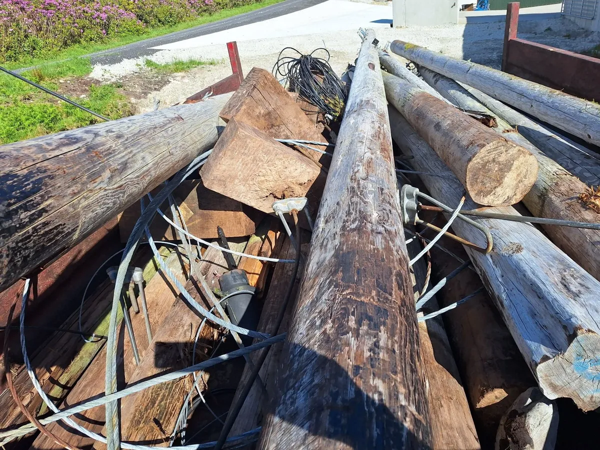 Telegraph Poles - Image 4