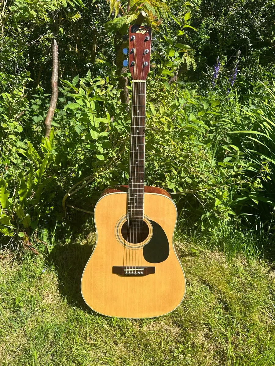 Acoustic guitar - Vintage E400-N - Image 1