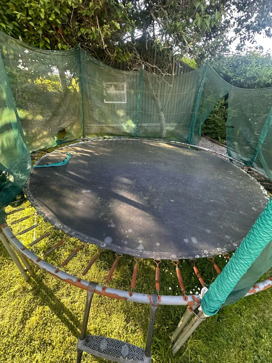 Trampoline - free to good home! - Image 3