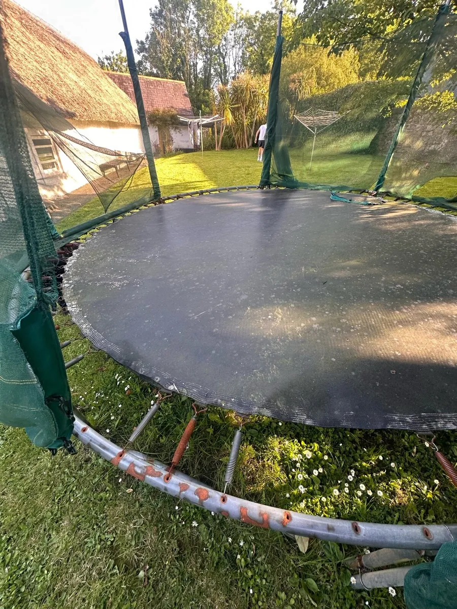 Trampoline - free to good home! - Image 2