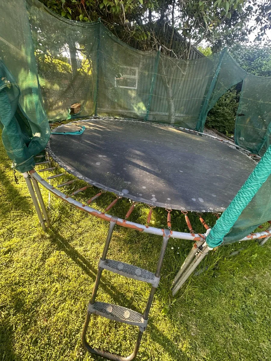Trampoline - free to good home! - Image 1