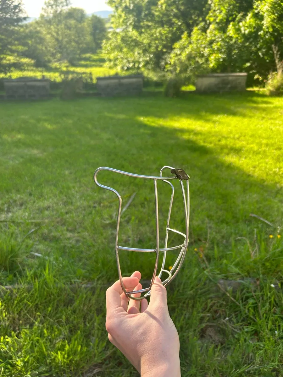 €450 ono Oldstyle long loop cleere guard - Image 4
