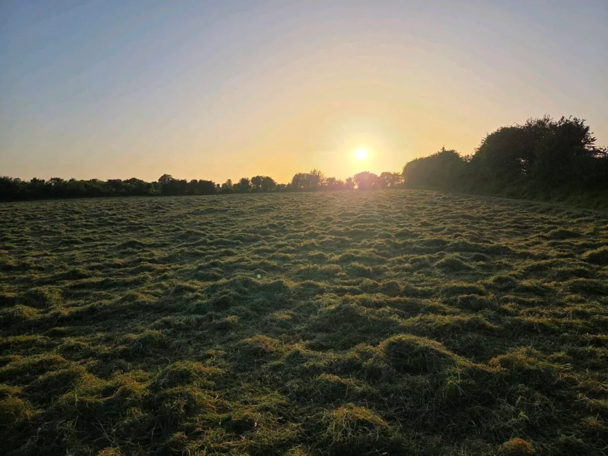 Hay / Haylage - Image 1