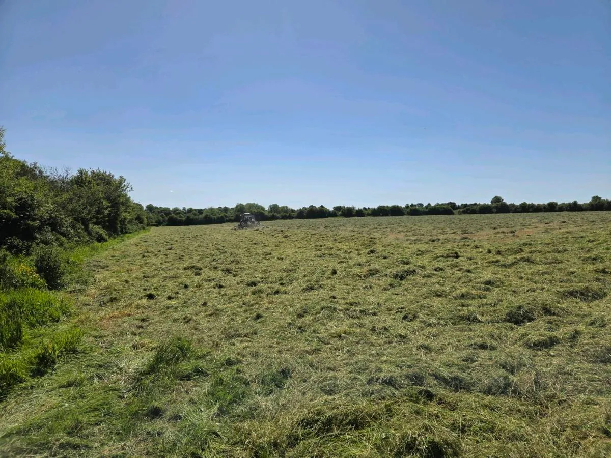 Hay / Haylage - Image 3