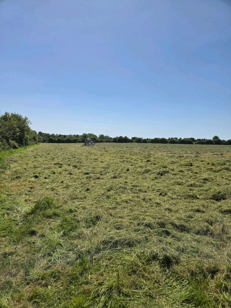 Hay / Haylage - Image 4