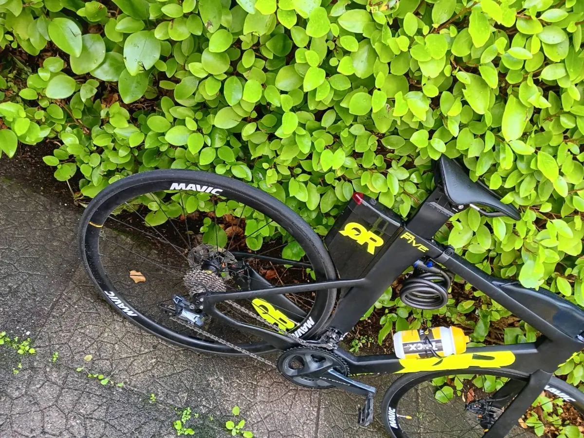 Quintana Roo 54cm PR Tri Bike - Image 2