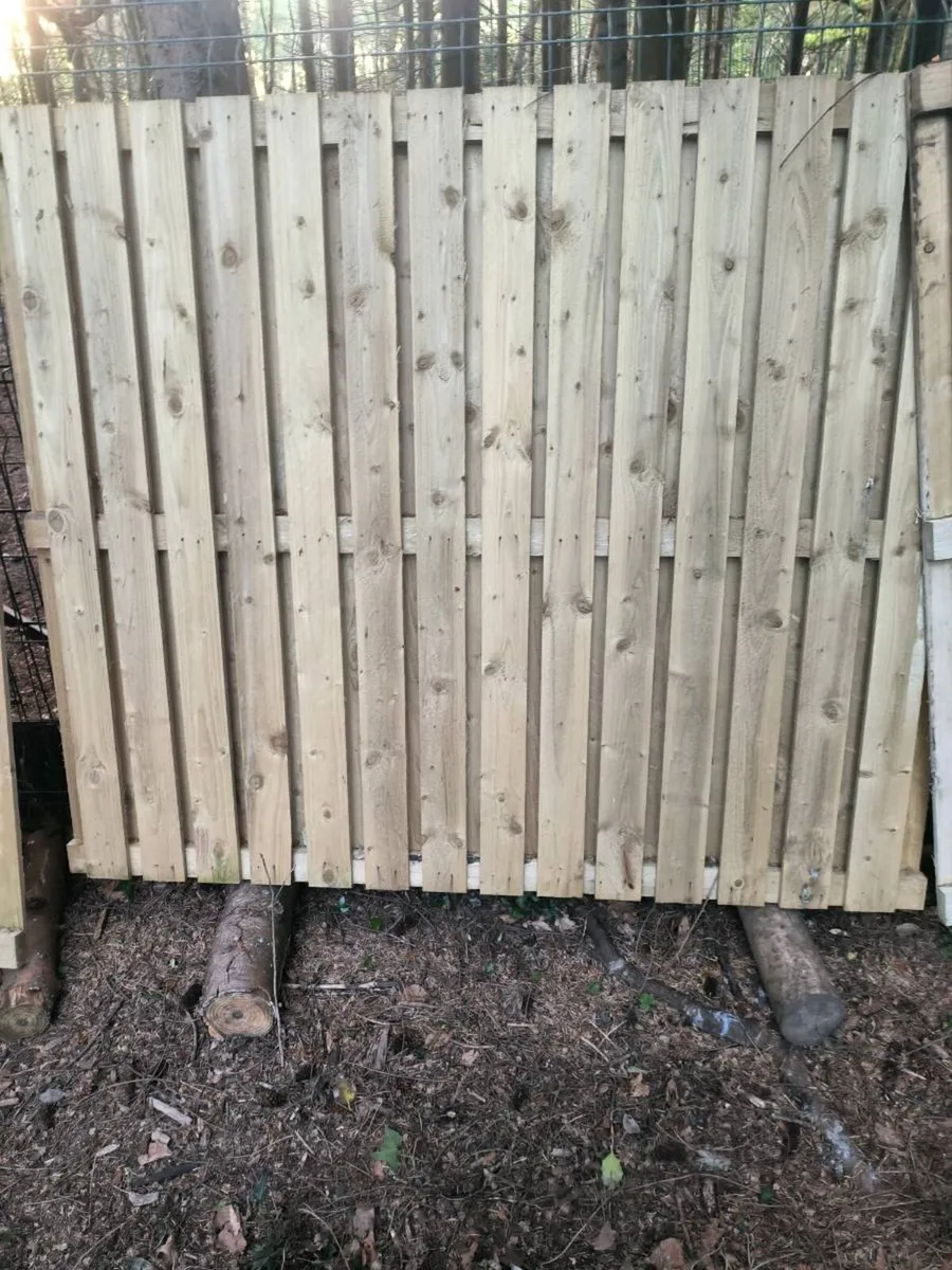 Fencing panels hit and miss - Image 1