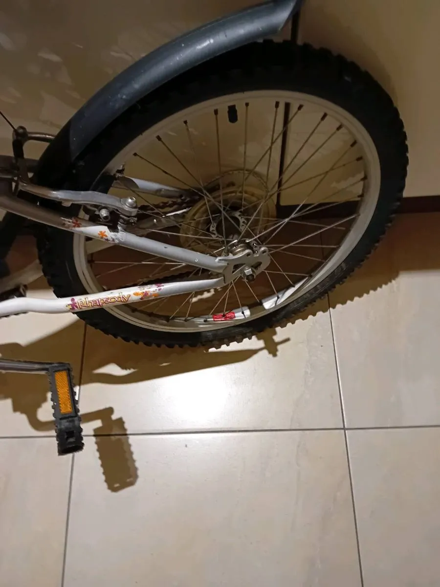 GIRLS BICYCLE 20 INCH WHEELS - Image 2