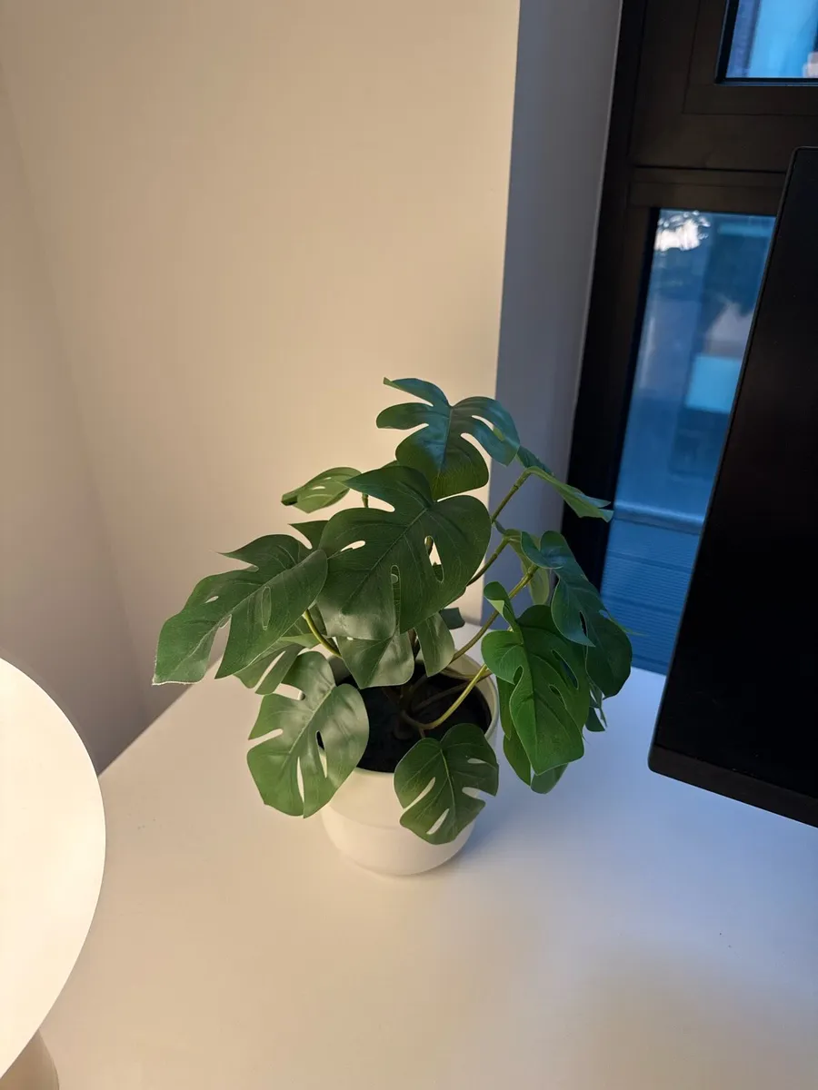 Home Office Setup - Image 3