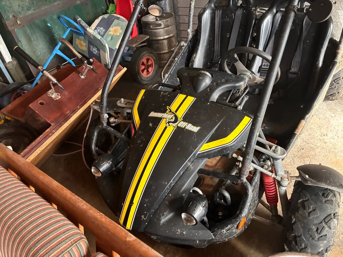 Hammerhead off road buggy - Image 3