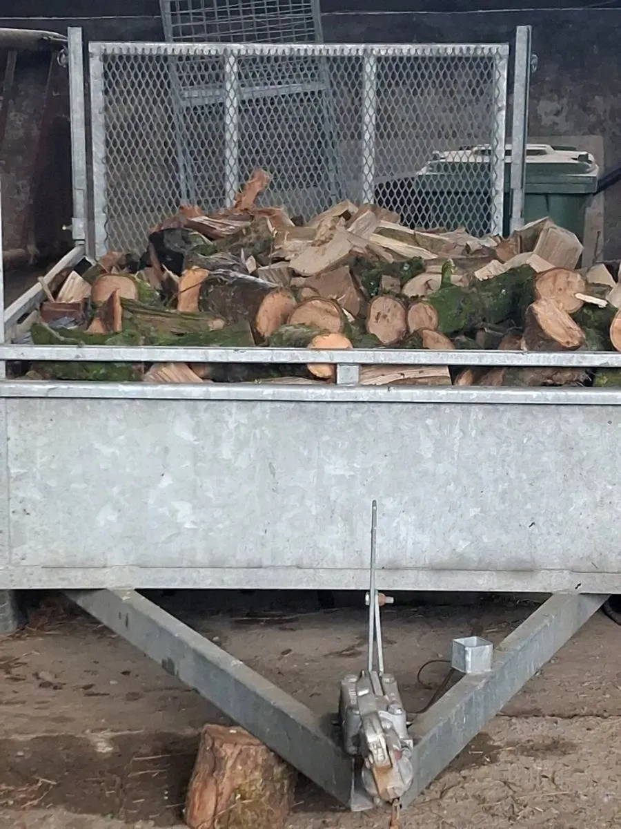 Firewood - Image 1
