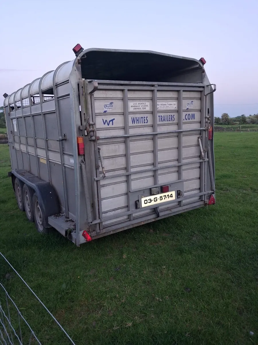 14 x 6  iforwilliams - Image 2