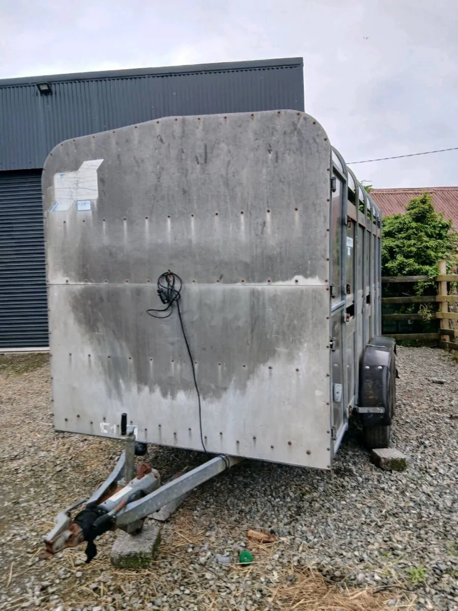 Iforwilams 12by6 cattlectrailerCALL 0868782672 - Image 1
