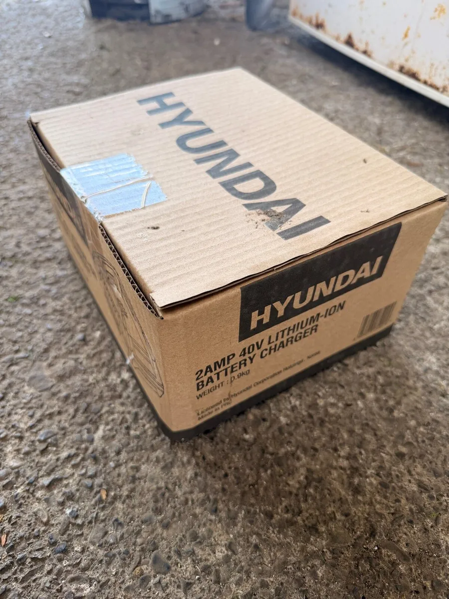 Hyundai Lawnmower Battery Charger - Image 3