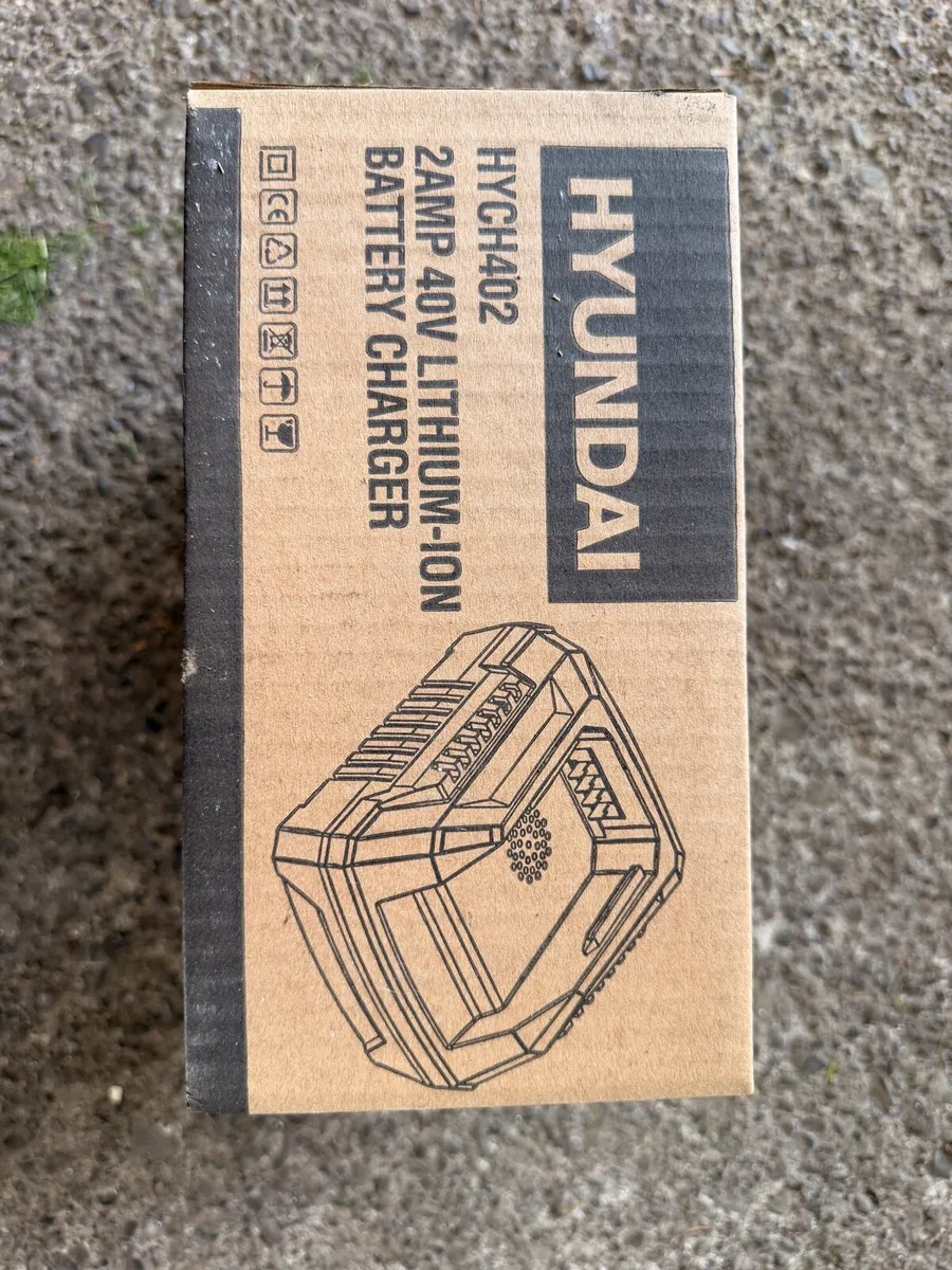 Hyundai Lawnmower Battery Charger - Image 4